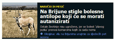 201003025_jutarnji.gif