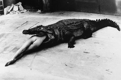 helmut_newton_alligator_still.jpg