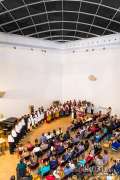 2015_04_23_koncert_voice_day_dalibor_023.jpg