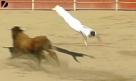 Guy Jumps Over a Bull