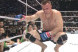 Cro Cop: Udarci u genitalije ozbiljno su me ozlijedili