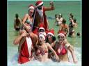 Aussie Christmas - What is it like?