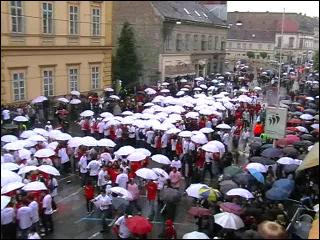 Quadrilla 2010 - Milenijska fotografija