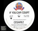 Cesarez - If You Can Count (12