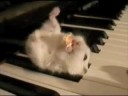 Hrak na klaviru