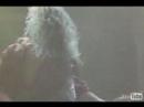 Whitesnake Video Compilation