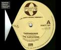 Flirtations - Earthquake (1983 Hi-Nrg - 7'' Edit).