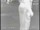 Infra red prdež