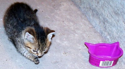 100_9878.jpg