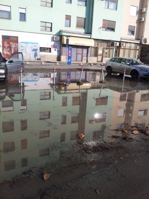 20120125_095615.jpg
