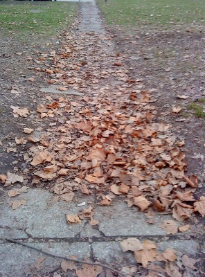 DSC01056 (Medium).jpg