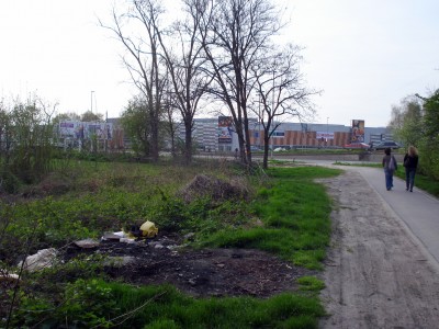 DSC06849.JPG