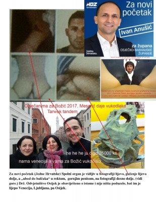 guzenje ANusic22-page-001.jpg