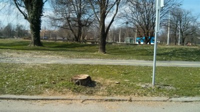 IMG_20150309_122525 (Large).jpg