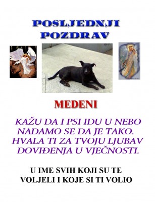 Medeni.jpg