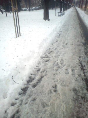 park.jpg
