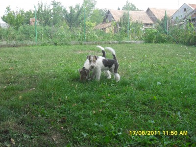 SDC13257.JPG