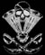 Avatar: Island_Pirates_MC