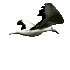 Avatar: galebhvar