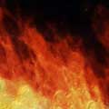 Avatar: Phoenix-winged