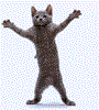 Avatar: ciao_bao!