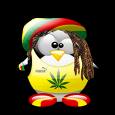 Avatar: jahman