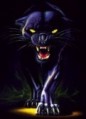 Avatar: Black Adder