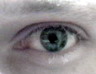 Avatar: Dr@zen