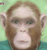 Avatar: MPP.1361