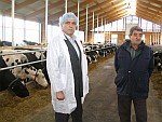 Kanadske krave na farmi Novog Agrara daju do 30 litara mlijeka dnevno
