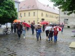 Peticija roditelja i učenika OŠ F. Krežma za školsko igralište