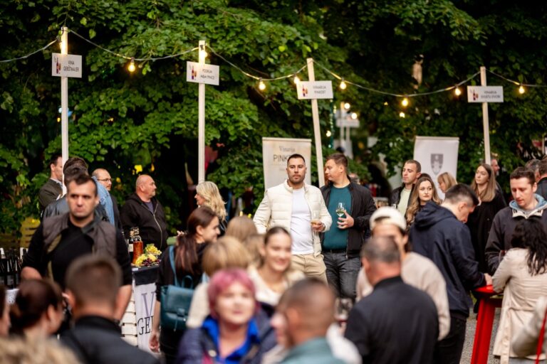 [FOTO] Večer vina i umjetnosti kao uvod u vinski mjesec u OBŽ