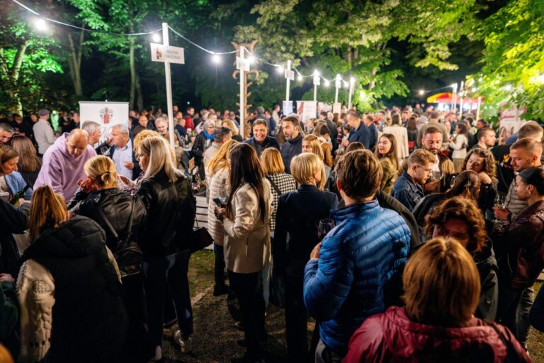 [FOTO] Večer vina i umjetnosti kao uvod u vinski mjesec u OBŽ