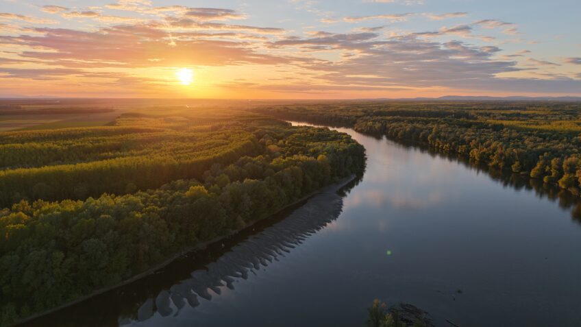 LIFE projekt koji obnavlja rijeku Dravu