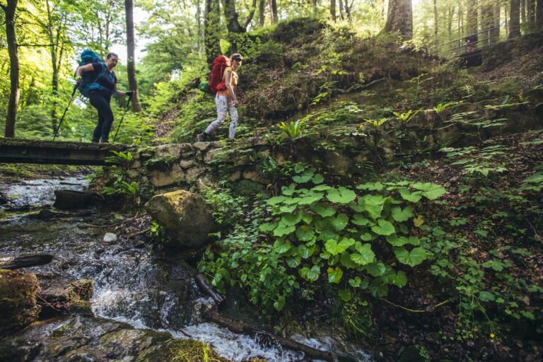 [FOTO] Gotovo 300 sudionika HIGHLANDER Medvednice zamijenilo vrevu grada sa spokojem prirode na vikend