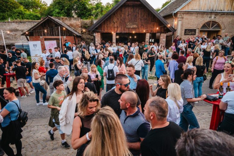 [FOTO] Peto izdanje Vinatlona okupilo rekordan broj posjetitelja