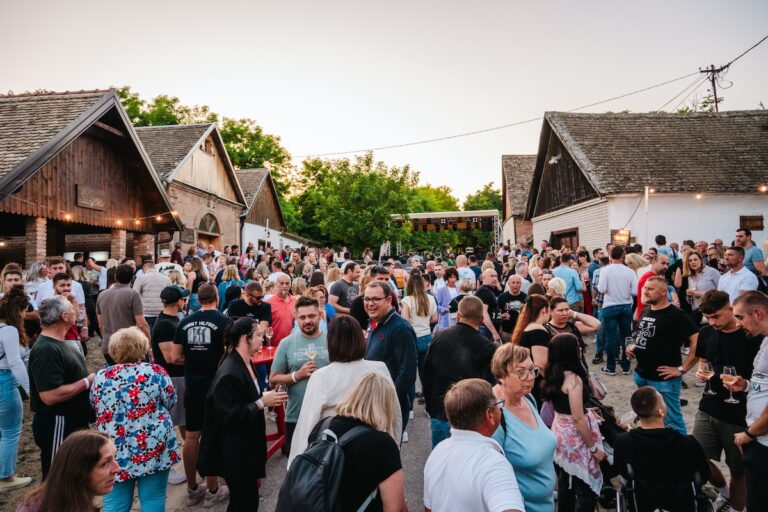 [FOTO] Peto izdanje Vinatlona okupilo rekordan broj posjetitelja