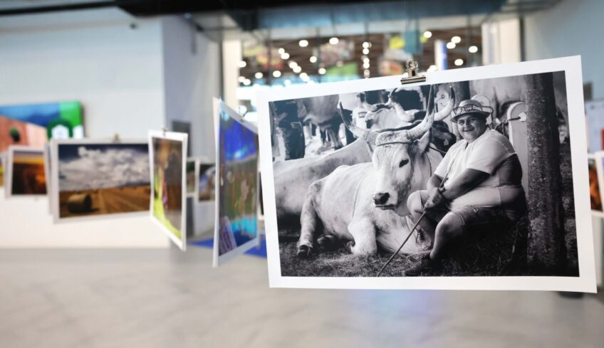 Otvoren natječaj RuralFoto 2025: Zabilježite čudo sela i osvojite nagrade!