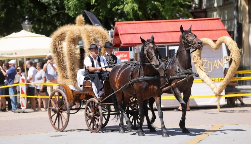 [FOTO] Bunjevački Hrvati proslavili 115. “Dužijancu” – spoj vjere, kulture i turizma