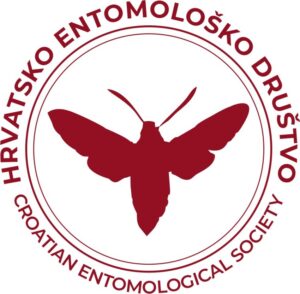 Slika događaja