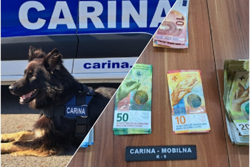 Buli, pas carinika, “nanjušio” više od 12 tisuća eura u teretnom vozilu na Erdutu
