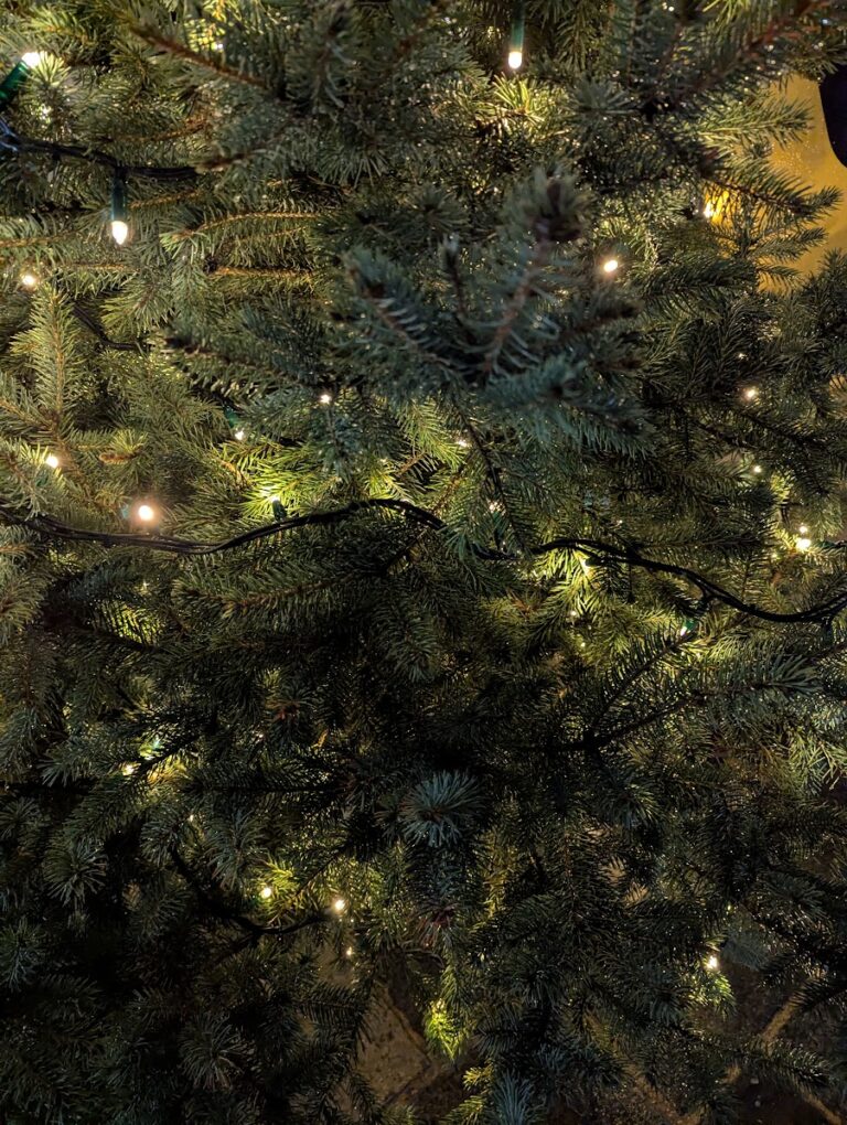 [FOTO] Čarolija u Tvrđi: Advent otvoren uz glazbu, dobre želje i blagdanski sjaj