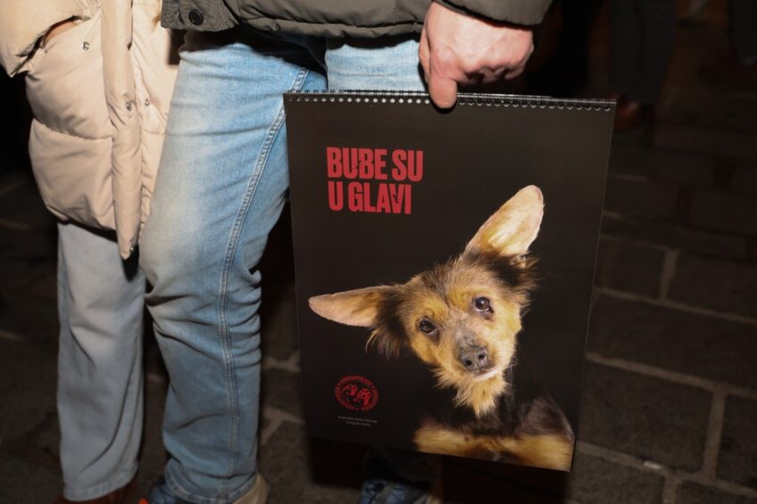 Predstavljen novi kalendar osječkog Azila “Bube su u glavi”