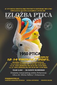 Slika događaja