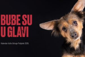Slika događaja