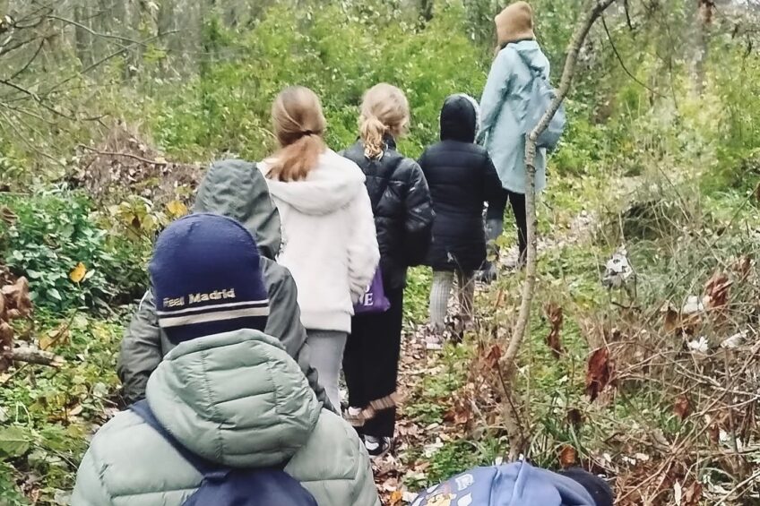 ROOTS Centar: Završna ROOTS Scouts misija “Drvo koje diše”