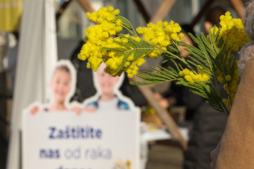 Prevencija spašava živote: Osijek obilježio Dan mimoza