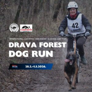 Slika događaja