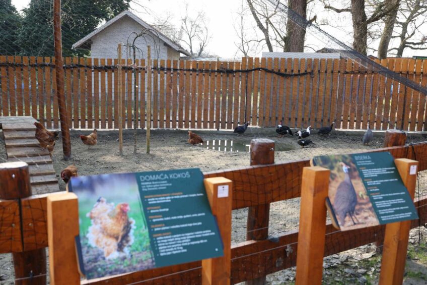 Velika novost u osječkom Zoološkom vrtu: otvoreno Slavonsko selo, stiže i nova atrakcija