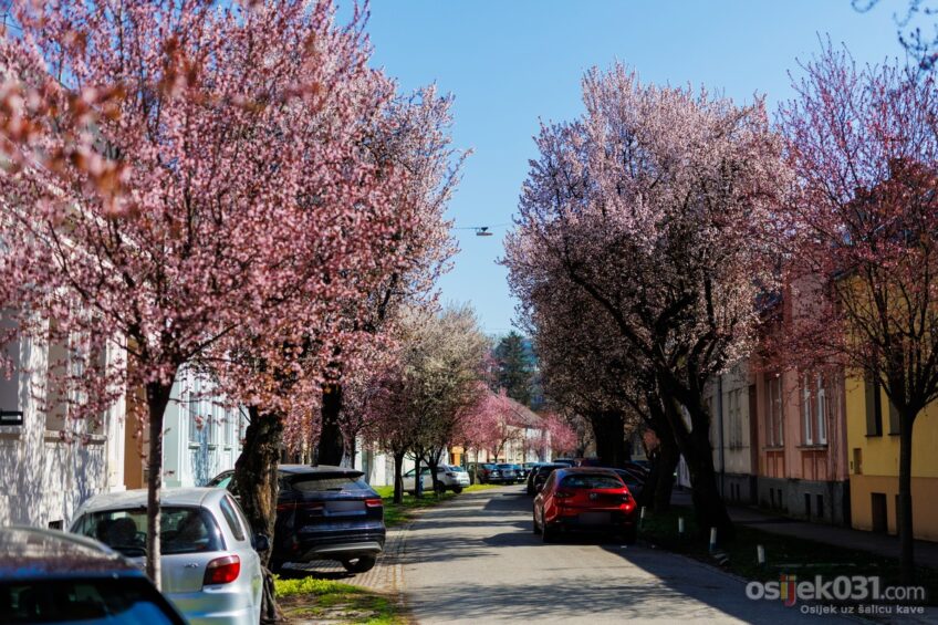 Sunčani početak tjedna, vikend pod oblacima